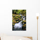 Fossil Creek In Autumn Wall Mural