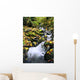 Fossil Creek In Autumn Wall Mural