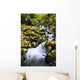 Fossil Creek In Autumn Wall Mural