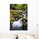 Fossil Creek In Autumn Wall Mural