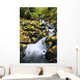 Fossil Creek In Autumn Wall Mural