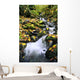 Fossil Creek In Autumn Wall Mural