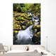 Fossil Creek In Autumn Wall Mural