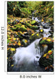 Fossil Creek In Autumn Wall Mural