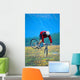 Bike Stunt Wall Mural
