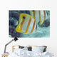 Beaked Butterflyfish also known as Copper-Banded Butterflyfish Wall Mural