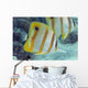 Beaked Butterflyfish also known as Copper-Banded Butterflyfish Wall Mural