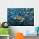 Malaysia, Green Sea Turtle with school of fish Wall Mural