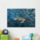 Malaysia, Green Sea Turtle with school of fish Wall Mural