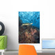 Green Sea Turtle On Reef With Soft Coral And Schooling Fish Wall Mural
