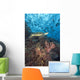 Green Sea Turtle On Reef With Soft Coral And Schooling Fish Wall Mural