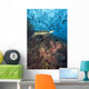 Green Sea Turtle On Reef With Soft Coral And Schooling Fish Wall Mural