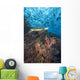 Green Sea Turtle On Reef With Soft Coral And Schooling Fish Wall Mural