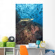 Green Sea Turtle On Reef With Soft Coral And Schooling Fish Wall Mural