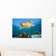 Swimming Over Reef Wall Mural