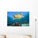 Swimming Over Reef Wall Mural