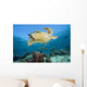 Swimming Over Reef Wall Mural