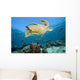 Swimming Over Reef Wall Mural