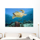 Swimming Over Reef Wall Mural
