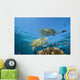 Two Green Sea Turtles Swim Over Coral Reef With Fish Wall Mural