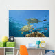 Two Green Sea Turtles Swim Over Coral Reef With Fish Wall Mural