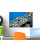 Hawaii, Two Green Sea Turtles On Colorful Coral Reef Wall Mural