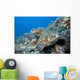 Hawaii, Two Green Sea Turtles On Colorful Coral Reef Wall Mural