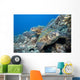 Hawaii, Two Green Sea Turtles On Colorful Coral Reef Wall Mural