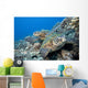 Hawaii, Two Green Sea Turtles On Colorful Coral Reef Wall Mural