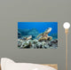 Hawaii, Two Green Sea Turtles On Colorful Coral Reef Wall Mural
