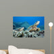 Hawaii, Two Green Sea Turtles On Colorful Coral Reef Wall Mural