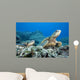 Hawaii, Two Green Sea Turtles On Colorful Coral Reef Wall Mural