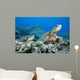Hawaii, Two Green Sea Turtles On Colorful Coral Reef Wall Mural