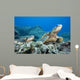 Hawaii, Two Green Sea Turtles On Colorful Coral Reef Wall Mural