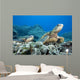 Hawaii, Two Green Sea Turtles On Colorful Coral Reef Wall Mural