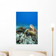 Hawaii, Two Green Sea Turtles On Colorful Coral Reef Wall Mural