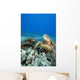 Hawaii, Two Green Sea Turtles On Colorful Coral Reef Wall Mural