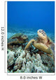 Hawaii, Two Green Sea Turtles On Colorful Coral Reef Wall Mural