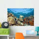 Green Sea Turtle On Colorful Coral Reef With Schooling Fish Wall Mural