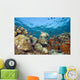 Green Sea Turtle On Colorful Coral Reef With Schooling Fish Wall Mural
