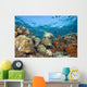 Green Sea Turtle On Colorful Coral Reef With Schooling Fish Wall Mural