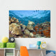Green Sea Turtle On Colorful Coral Reef With Schooling Fish Wall Mural