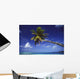 French Polynesia, Bora Bora, Palm Tree Hanging Over Turquoise Ocean Wall Mural
