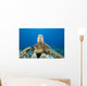 Hawaii, Close-Up Of Green Sea Turtle On Reef Wall Mural