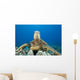 Hawaii, Close-Up Of Green Sea Turtle On Reef Wall Mural
