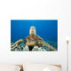 Hawaii, Close-Up Of Green Sea Turtle On Reef Wall Mural
