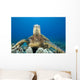 Hawaii, Close-Up Of Green Sea Turtle On Reef Wall Mural