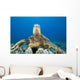 Hawaii, Close-Up Of Green Sea Turtle On Reef Wall Mural