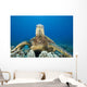 Hawaii, Close-Up Of Green Sea Turtle On Reef Wall Mural