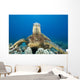 Hawaii, Close-Up Of Green Sea Turtle On Reef Wall Mural